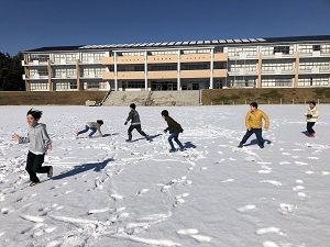 IMG_4487 IMG_4487