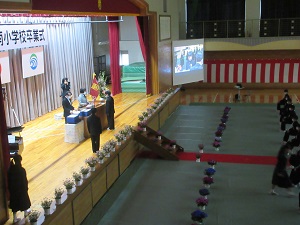 IMG_0528 IMG_0528