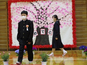 IMG_0852 IMG_0852