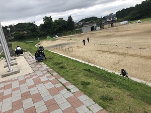 IMG_5379