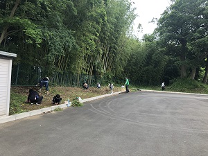 IMG_5380