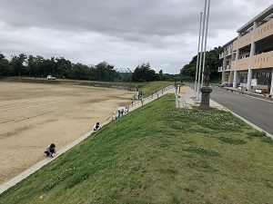 IMG_5387