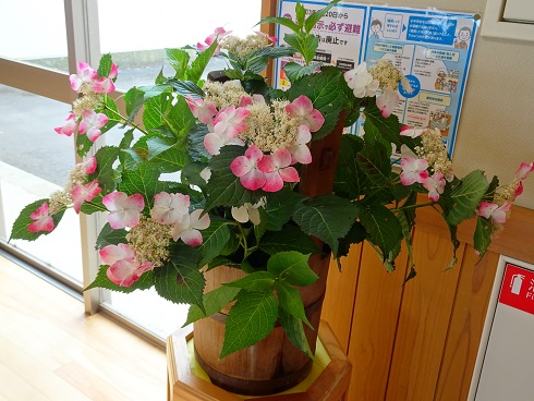 DSC00435