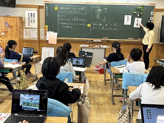 IMG-7013