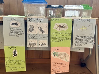 IMG-7052