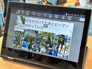 IMG-7054