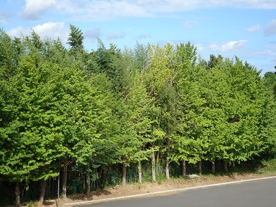 DSC01012