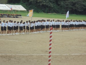 DSC01253