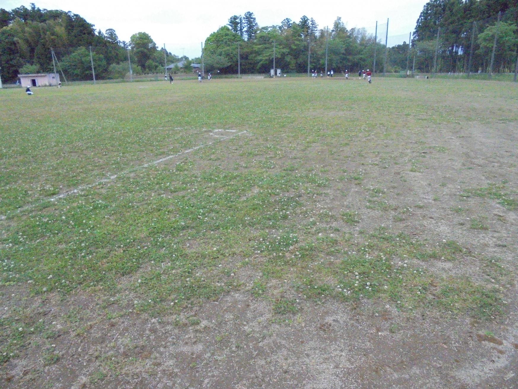 DSC02439 DSC02439