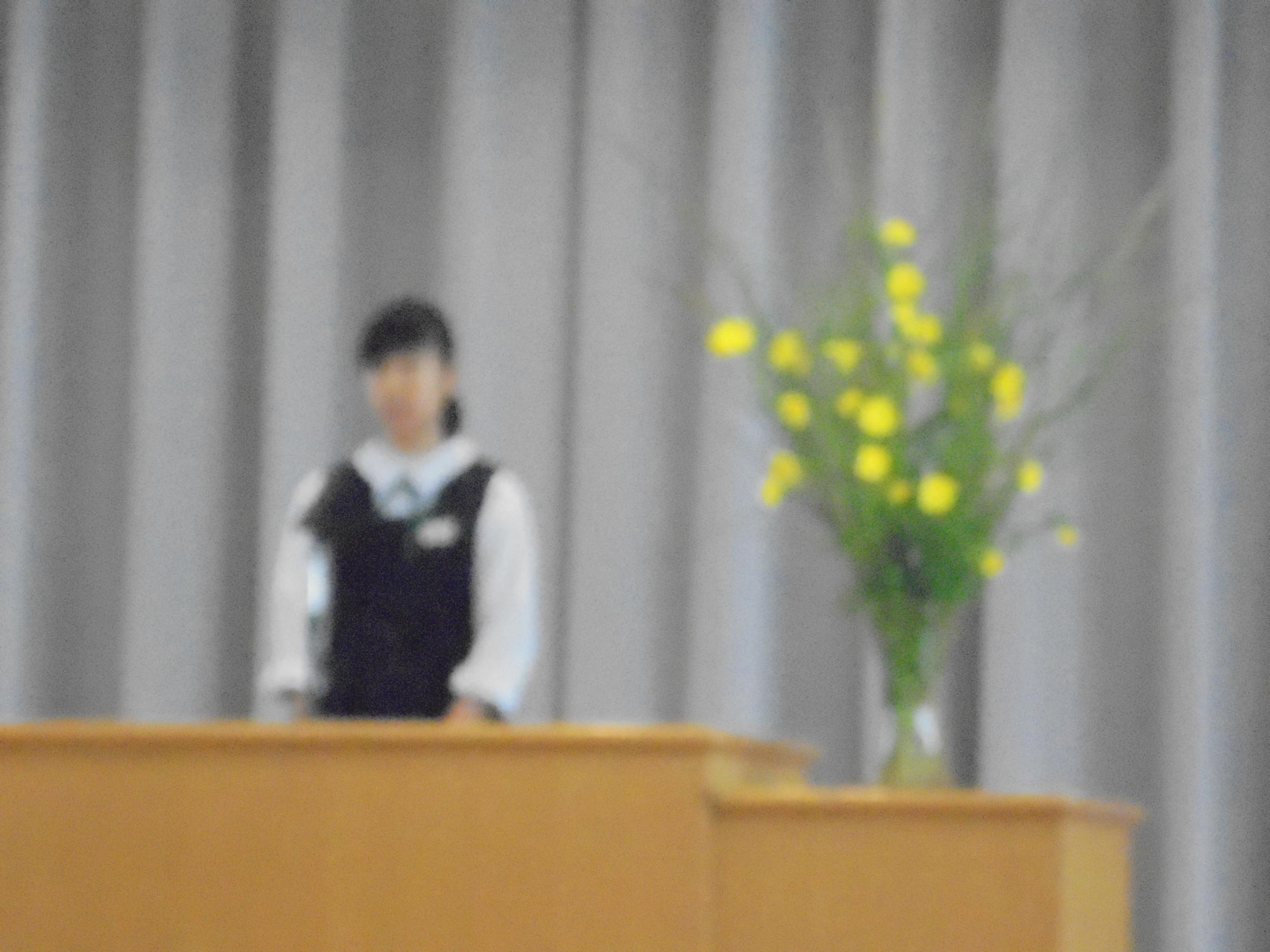 DSC02979 DSC02979