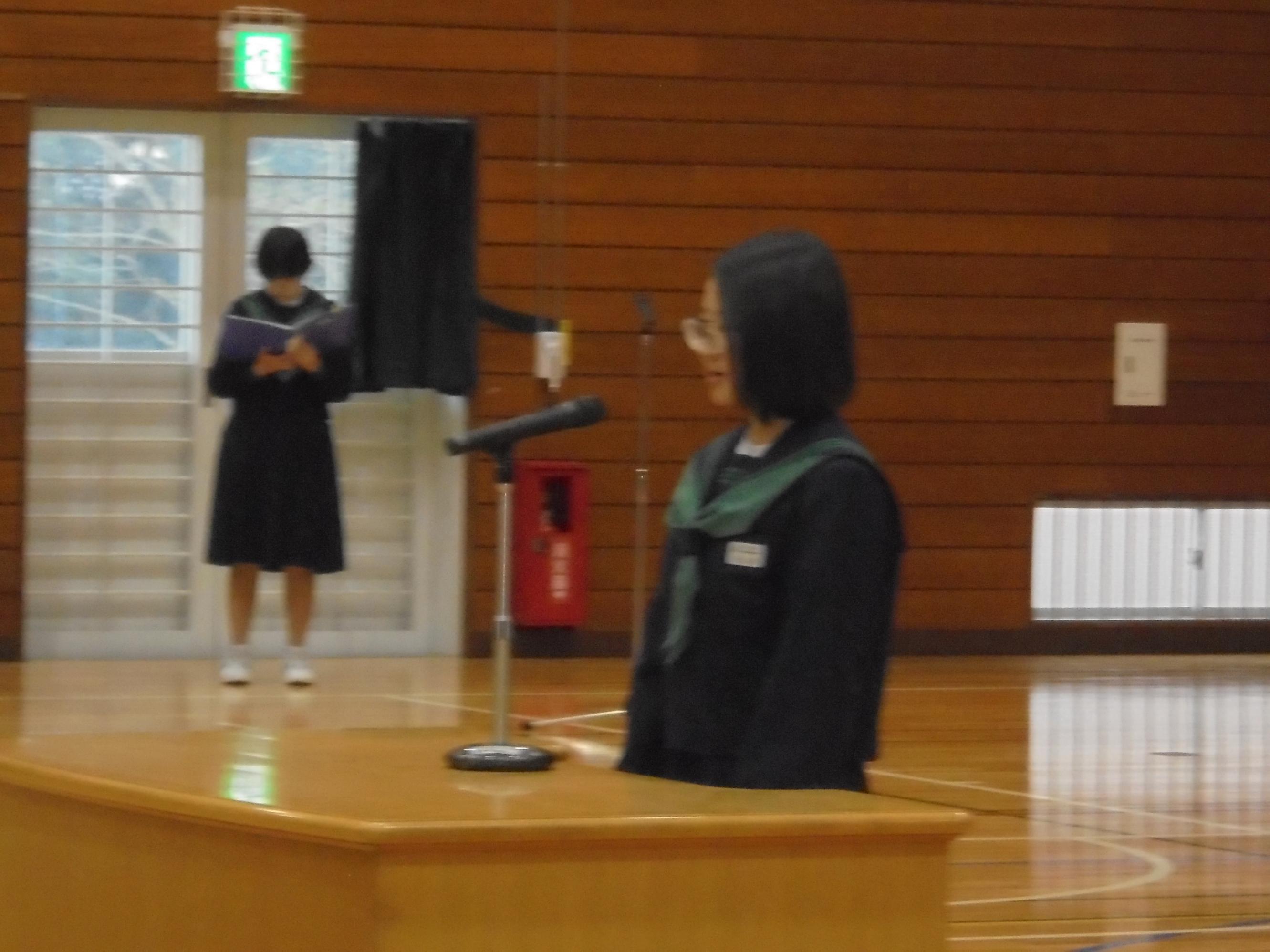 DSC04113 DSC04113