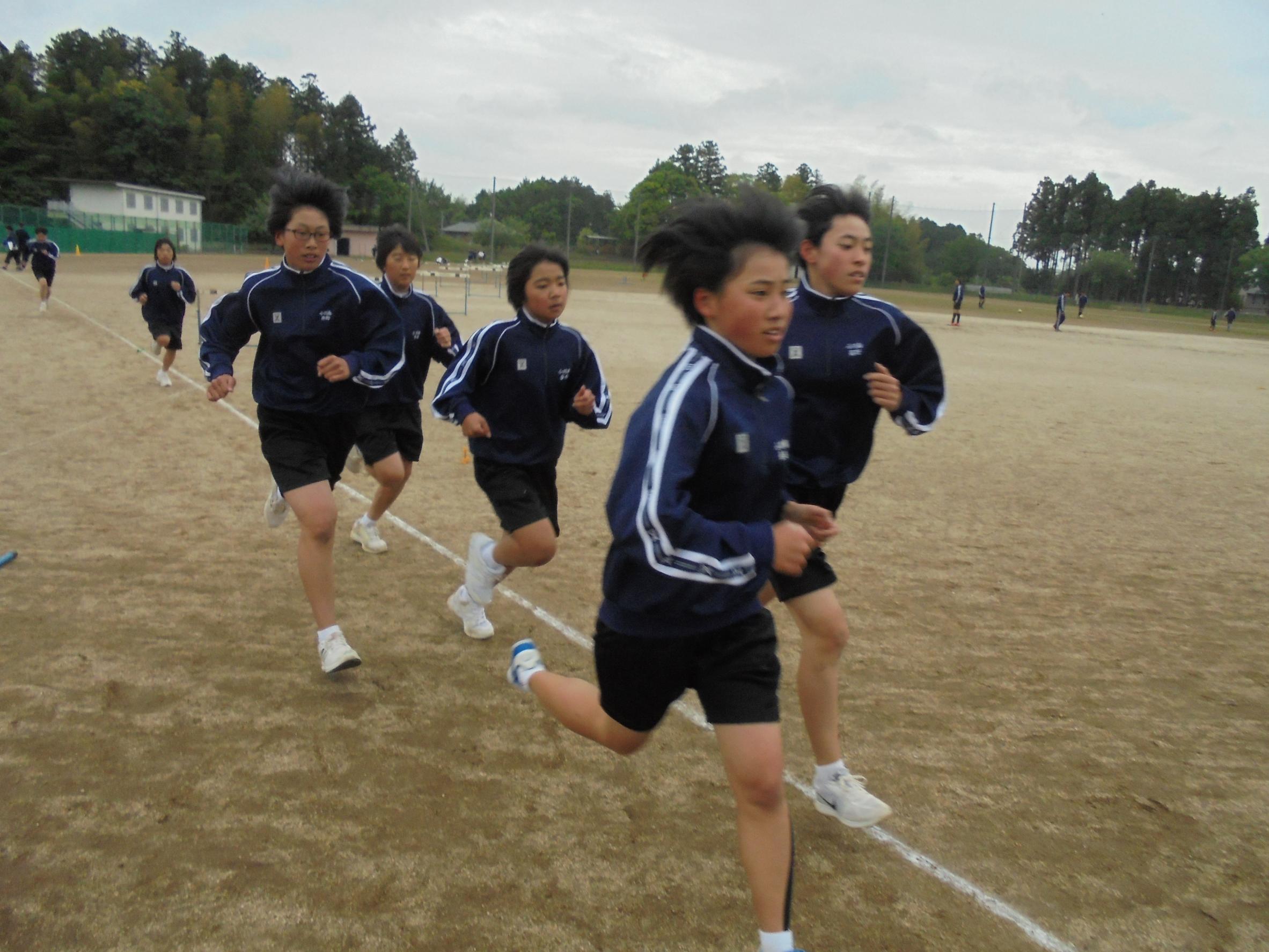 DSC05381 DSC05381