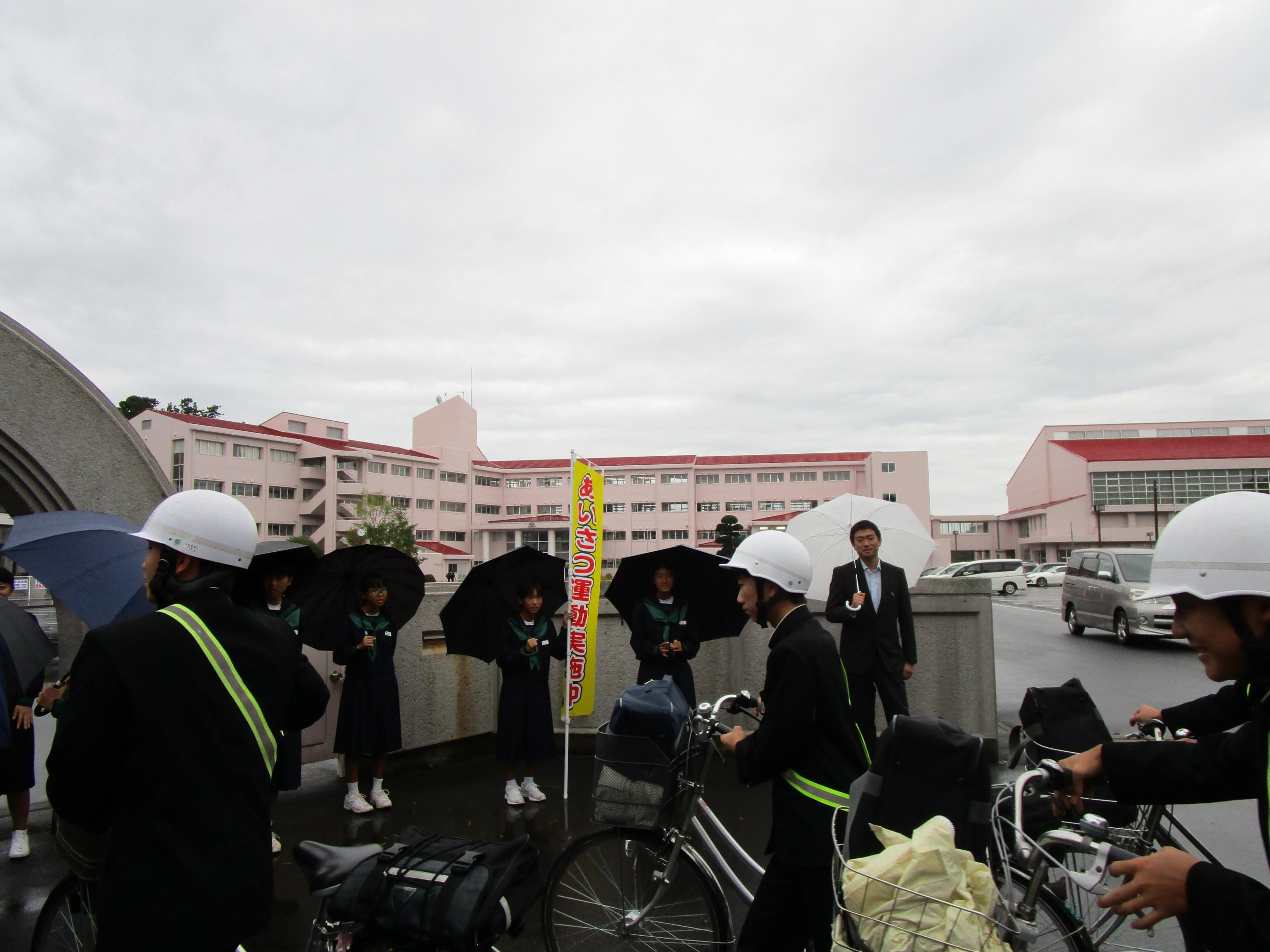 IMG_0646 IMG_0646
