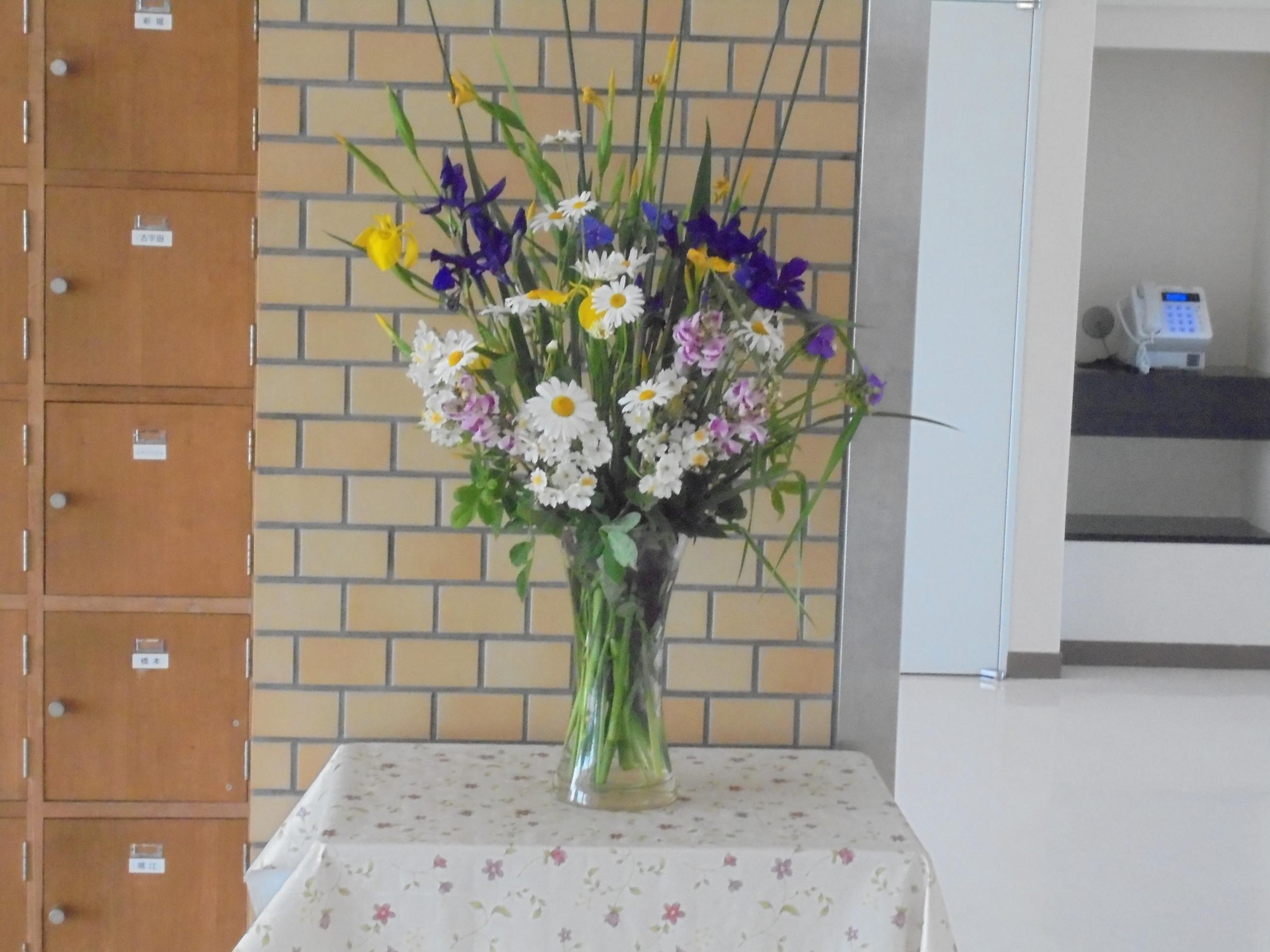 DSC06880 DSC06880