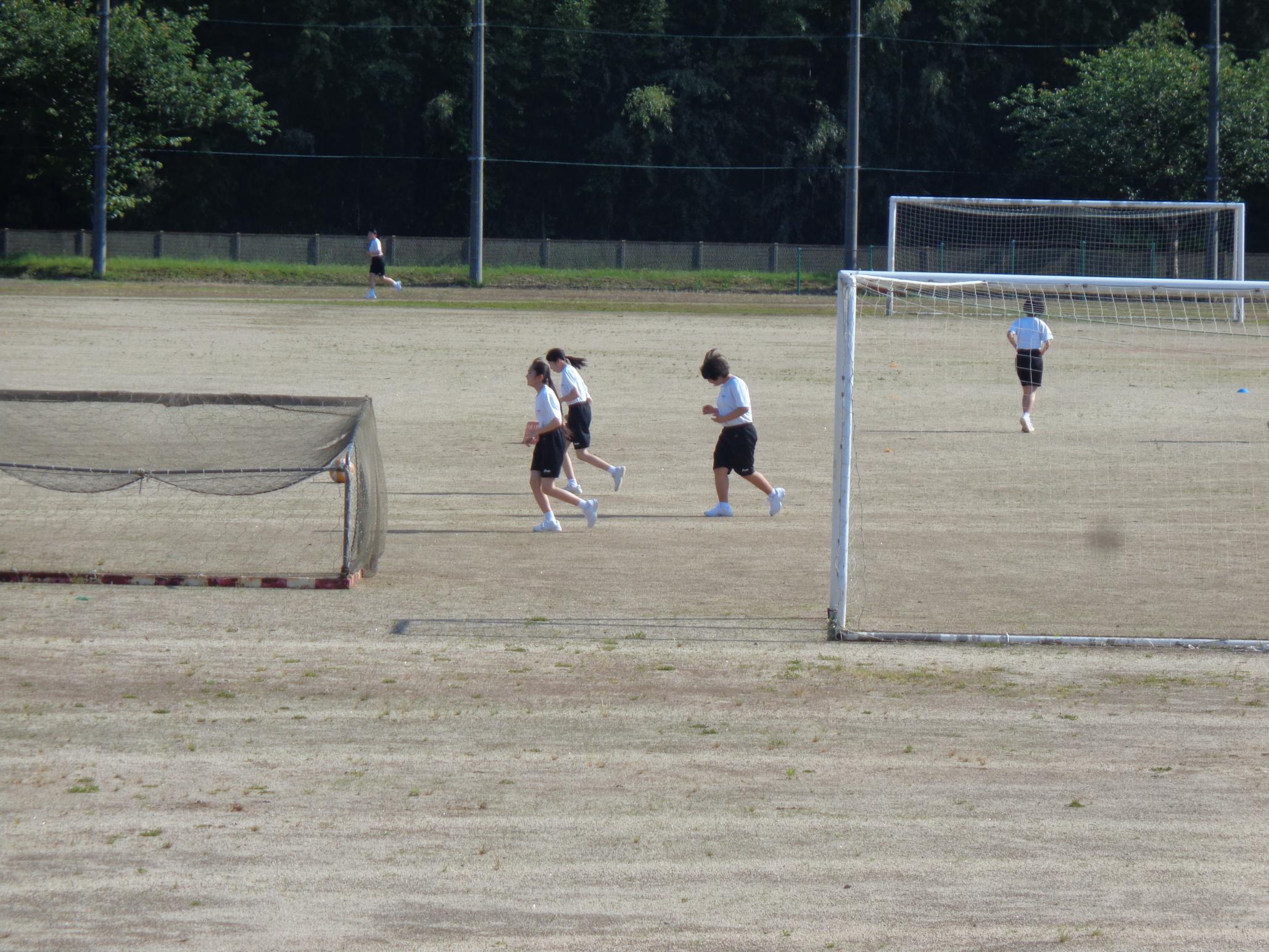 DSC01259 DSC01259