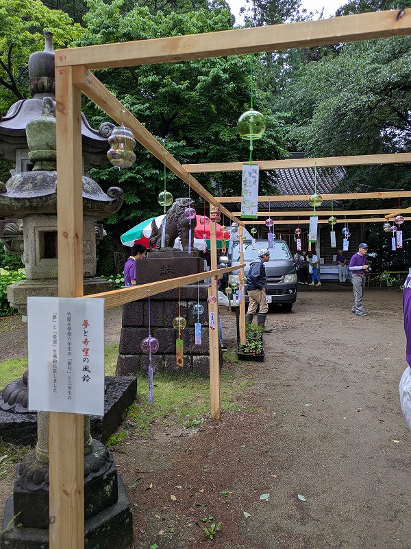 ajisaimaturi-3