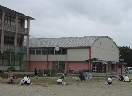 画像5