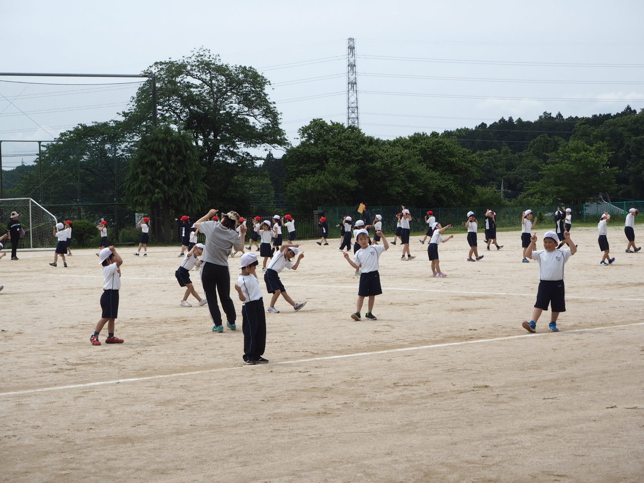 P1010220
